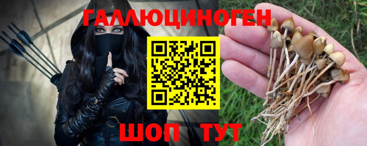 цена наркотик  Вход с VPN  Галлюциногенные грибы GOLDEN TEACHER  Александров  Псилоцибиновые грибы Cubensis 