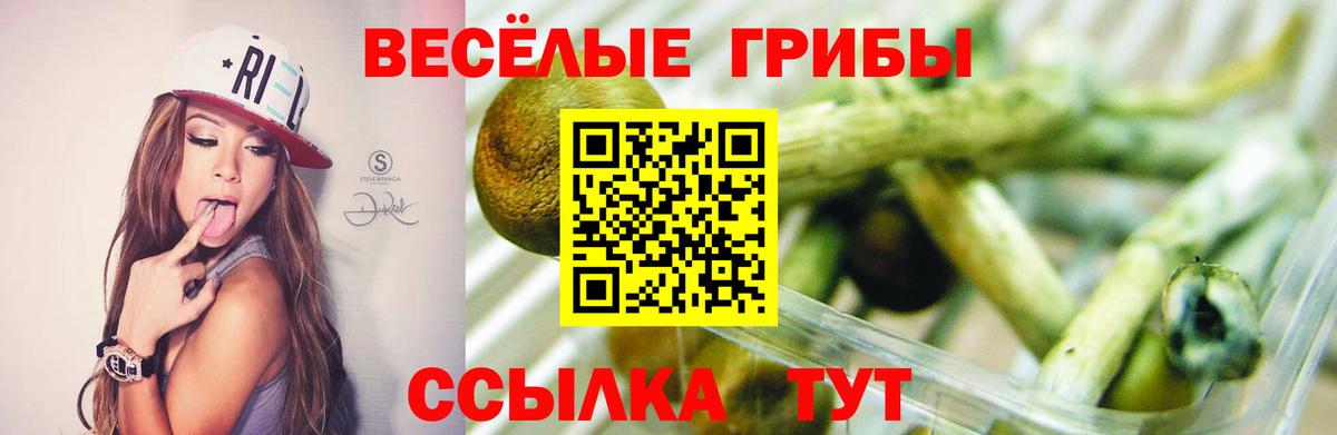 Галлюциногенные грибы мухоморы Александров